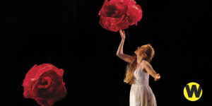 ALICE presented by MOMIX