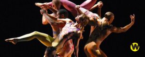 Pilobolus