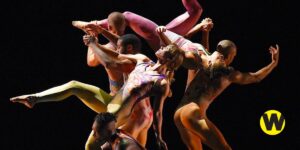 Pilobolus
