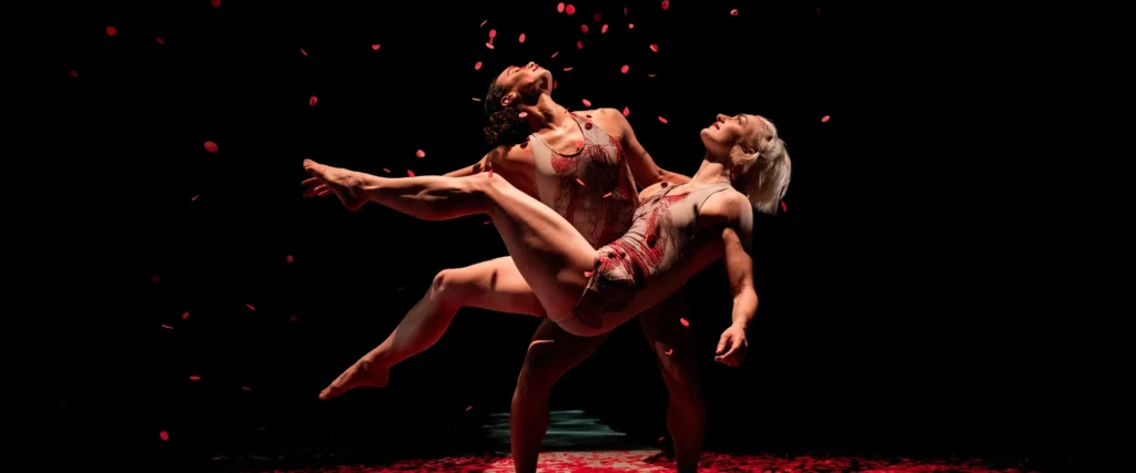 Two dancers in an intricate lift pose, covered in red rose petals, on a dark stage. For Pilobolus.