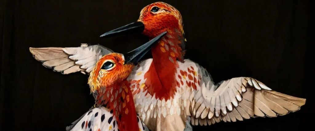 Paperhand Puppet Project artwork for