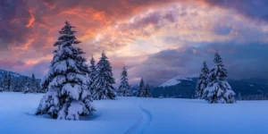 Photo for A Swannanoa Solstice: snowy mountains and evergreen trees